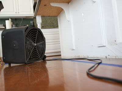 Professional mold removal services in Wentzville